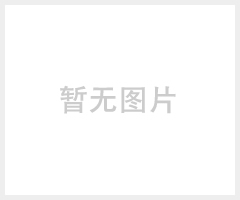 精华素美容导入美颜仪